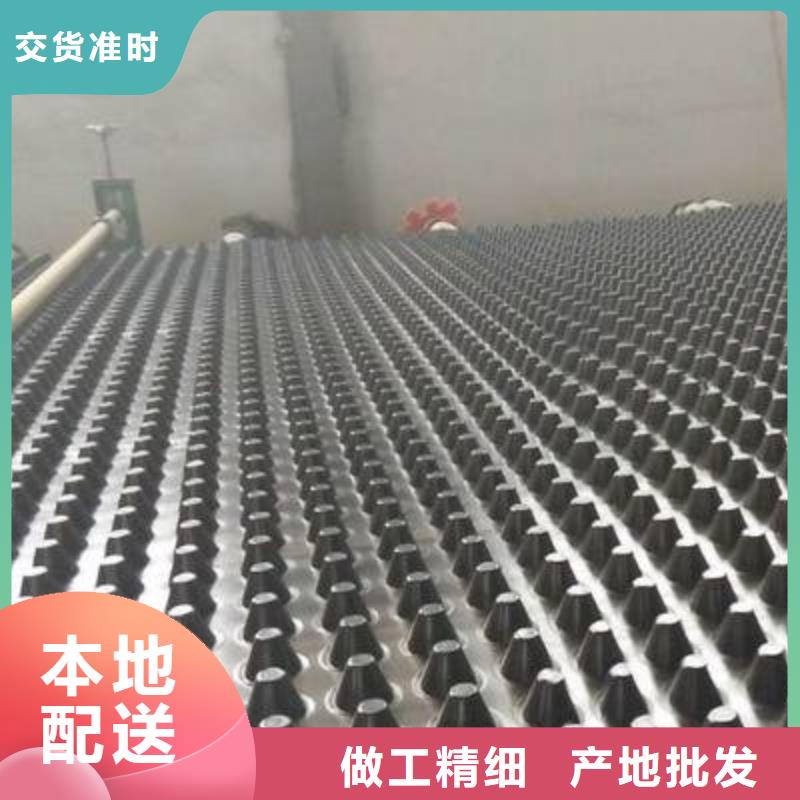 塑料排水板-三维土工网垫同行低价