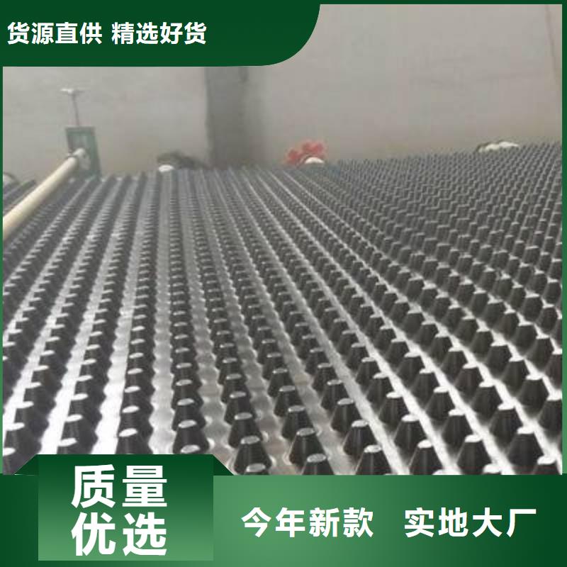 塑料排水板,双向塑料土工格栅品牌大厂家