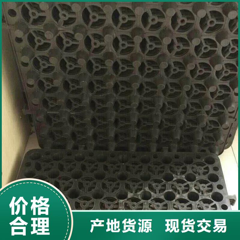【塑料排水板塑料盲沟热销产品】
