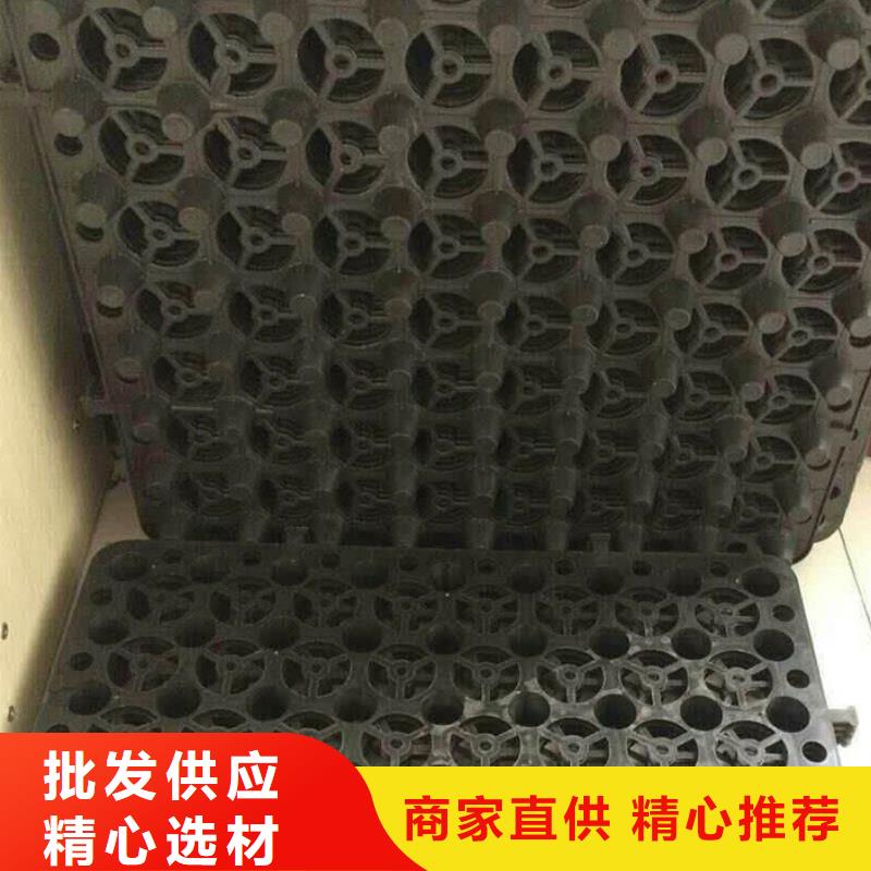 塑料排水板双向塑料土工格栅拒绝差价