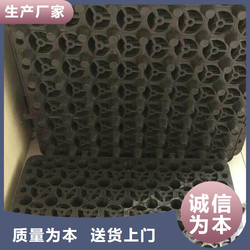 【塑料排水板】土工布价格合作共赢