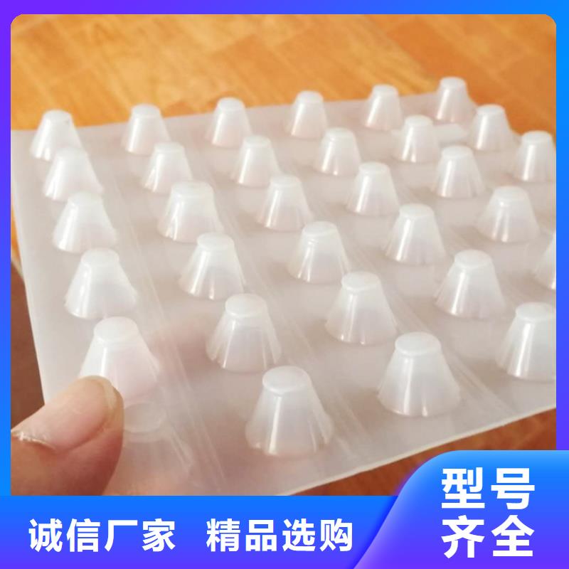【塑料排水板】_双向塑料土工格栅品质优选