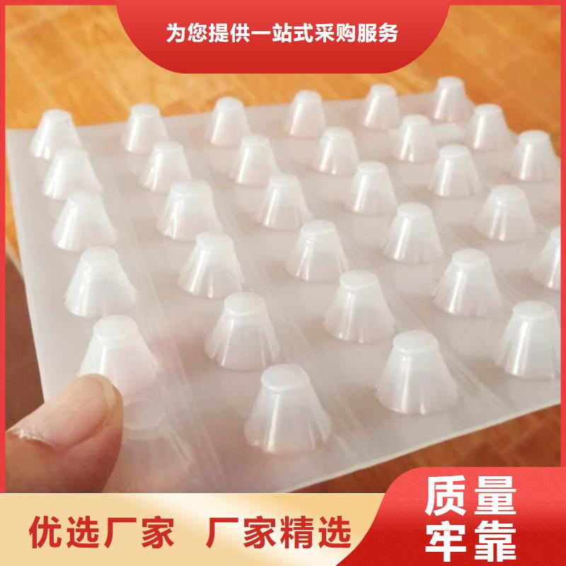 塑料排水板双向塑料土工格栅生产型