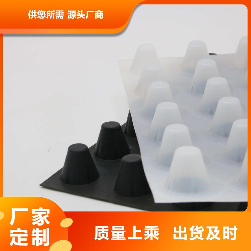 塑料排水板双向塑料土工格栅拒绝差价