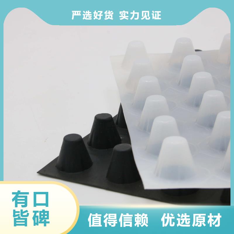 【塑料排水板】玻纤土工格栅高品质现货销售