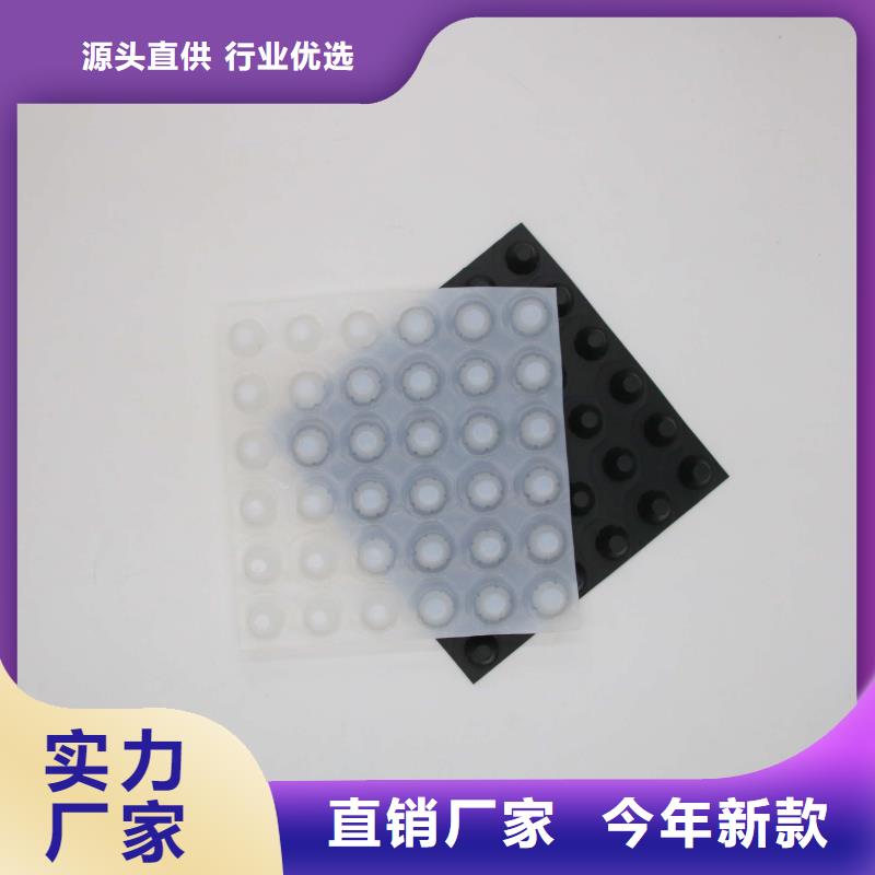 塑料排水板单向塑料土工格栅一站式服务