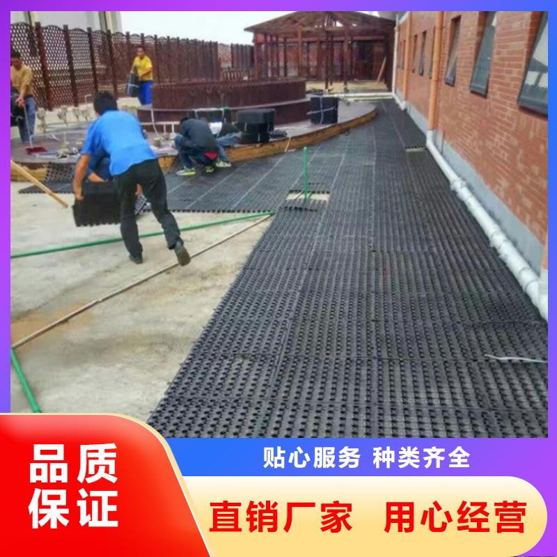 【塑料排水板】玻纤土工格栅高品质现货销售