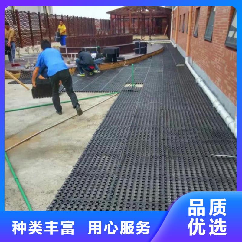 塑料排水板,聚丙烯双拉土工格栅源头厂商