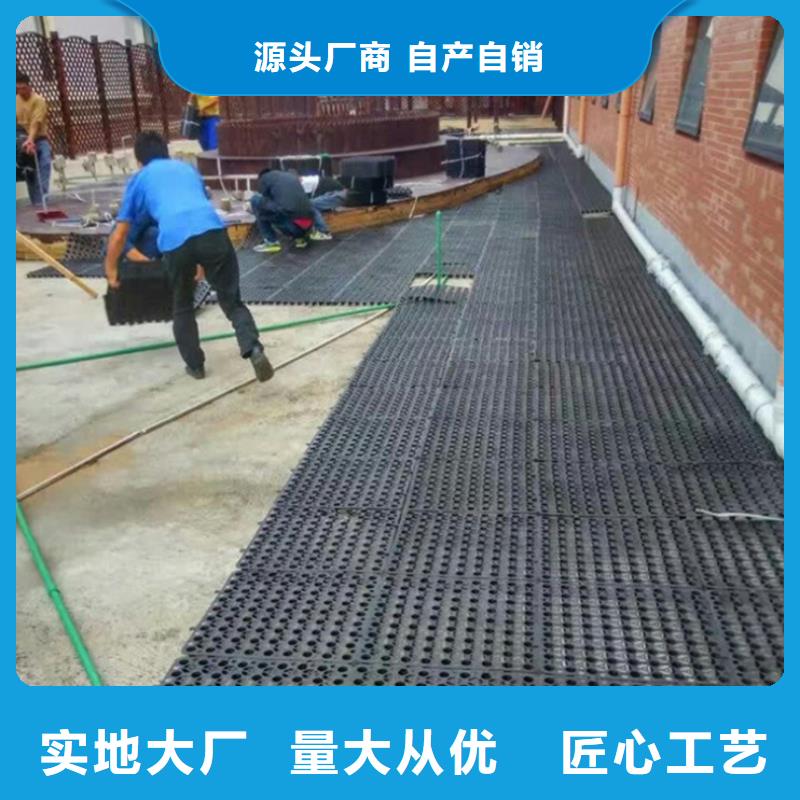 塑料排水板-土工格室价格有优势