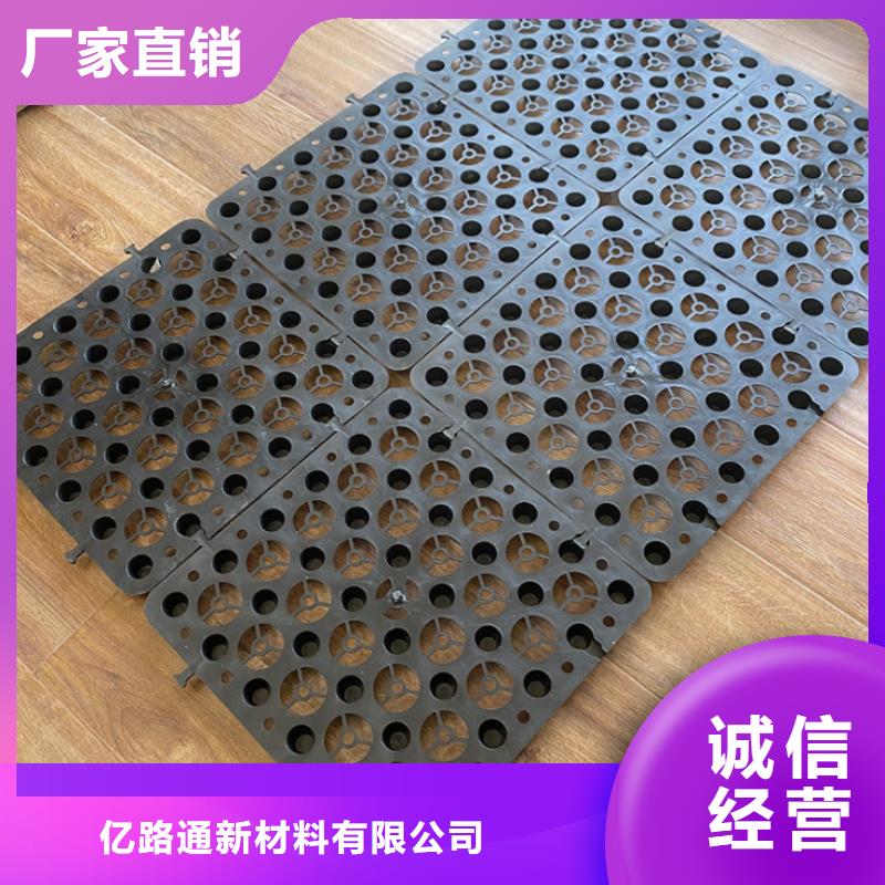 塑料排水板-三维土工网垫同行低价