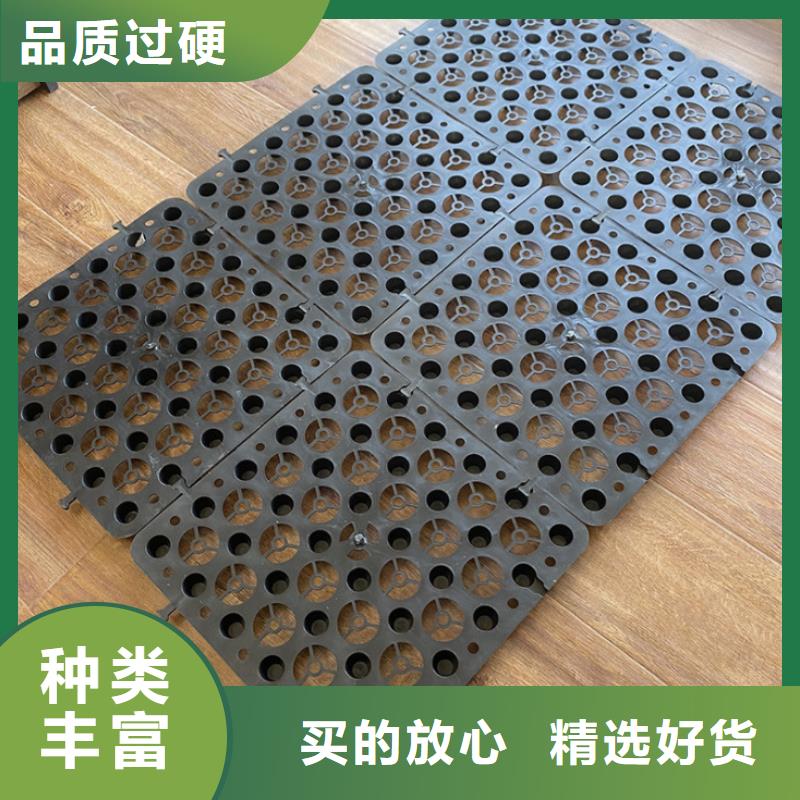 【塑料排水板性价比高】
