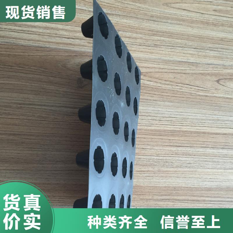 塑料排水板单向塑料土工格栅实体厂家支持定制