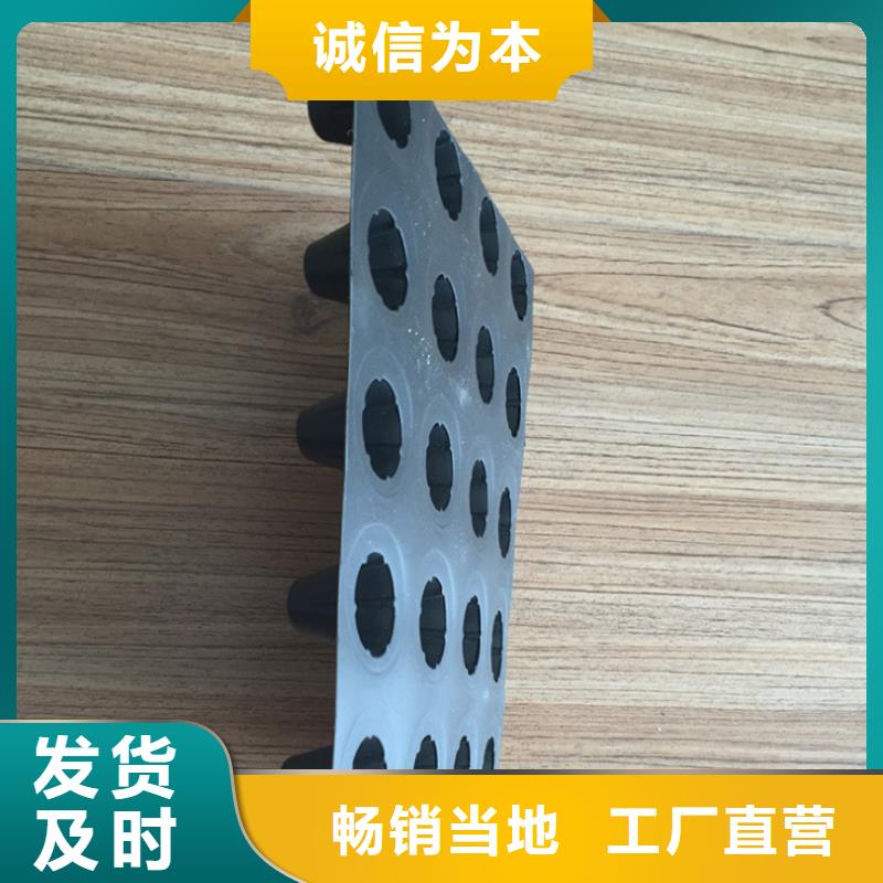 塑料排水板-三维土工网垫同行低价