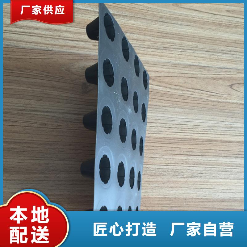 塑料排水板多向塑料土工格栅拥有核心技术优势
