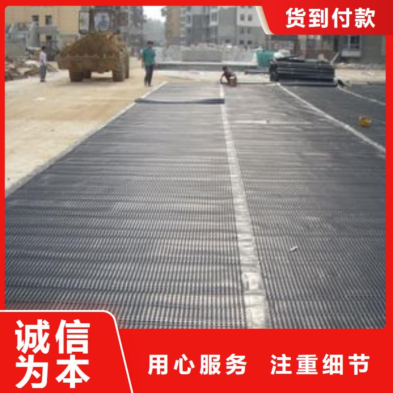 塑料排水板三维植被网厂家选择大厂家省事省心