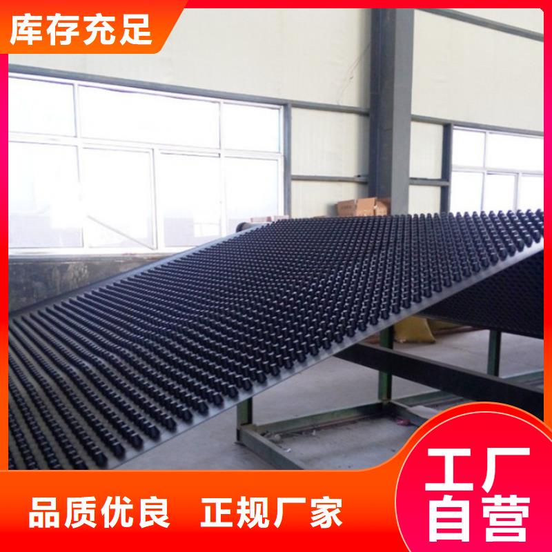 【塑料排水板土工膜一手价格】