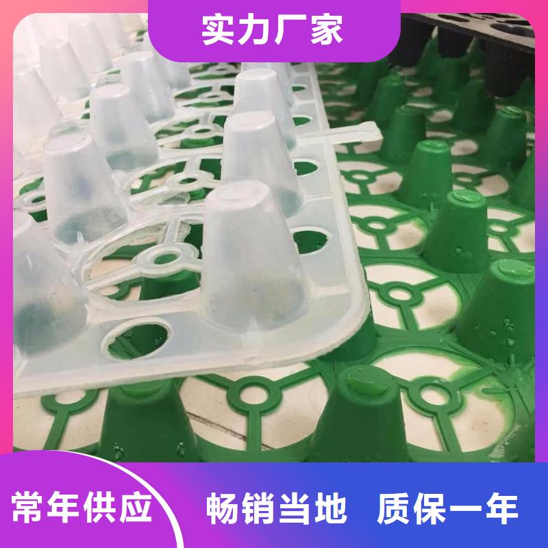 【塑料排水板三维植被网厂家专注生产N年】