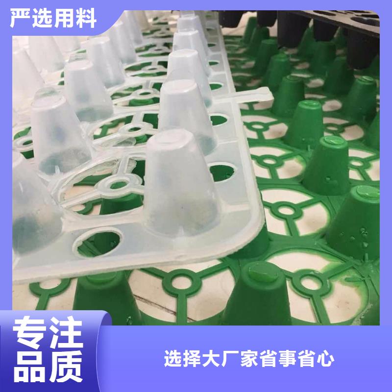 塑料排水板土工席垫拒绝伪劣产品