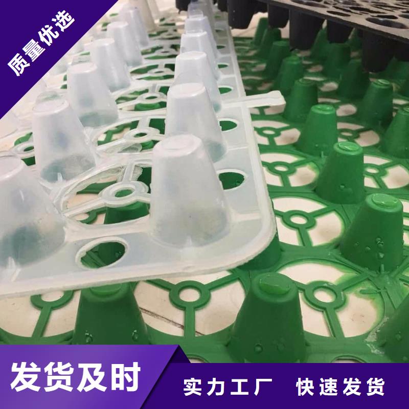 【塑料排水板】土工布价格合作共赢