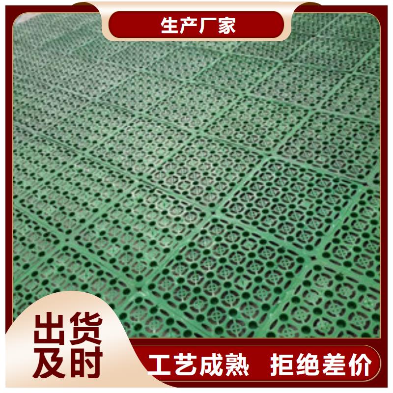 塑料排水板单向塑料土工格栅实体厂家支持定制