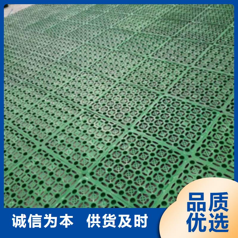塑料排水板三维植被网厂家选择大厂家省事省心