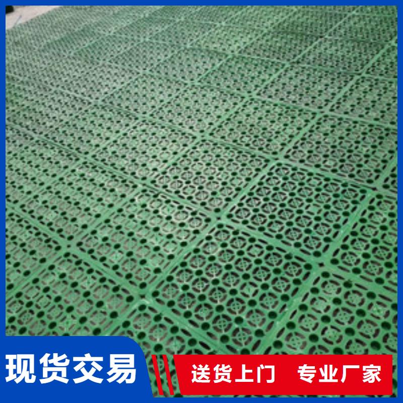 塑料排水板土工席垫品质保障售后无忧