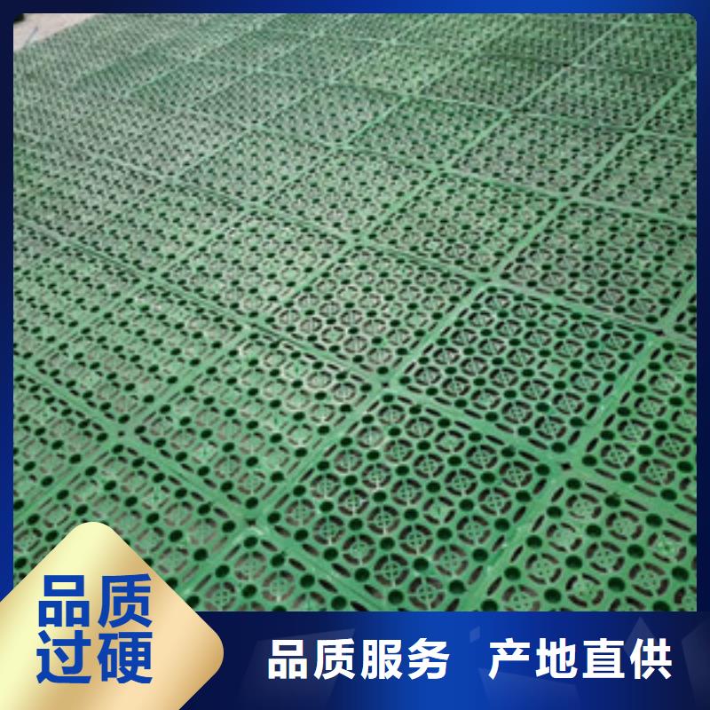 塑料排水板三维水土保护毯源厂供货