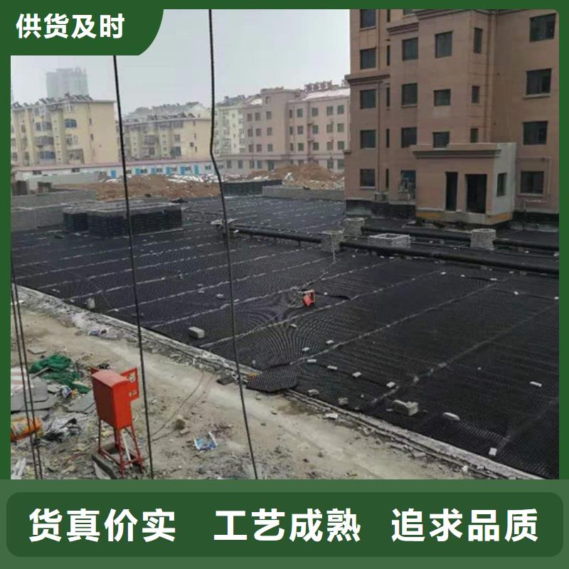 塑料排水板土工席垫拒绝伪劣产品