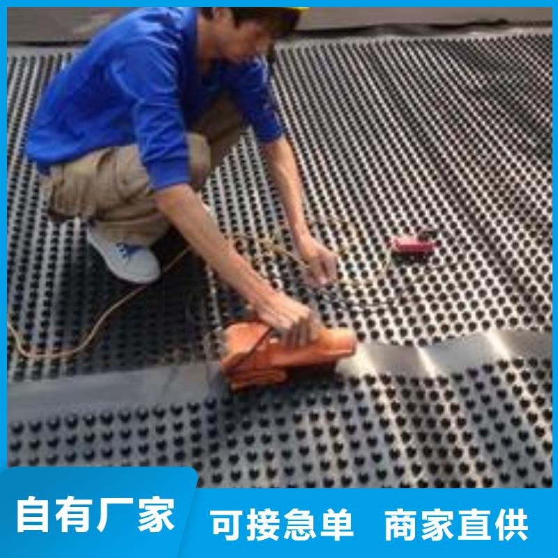 【塑料排水板】玻璃纤维土工格栅厂家供应
