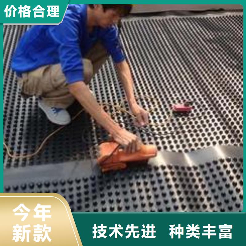 【塑料排水板性价比高】