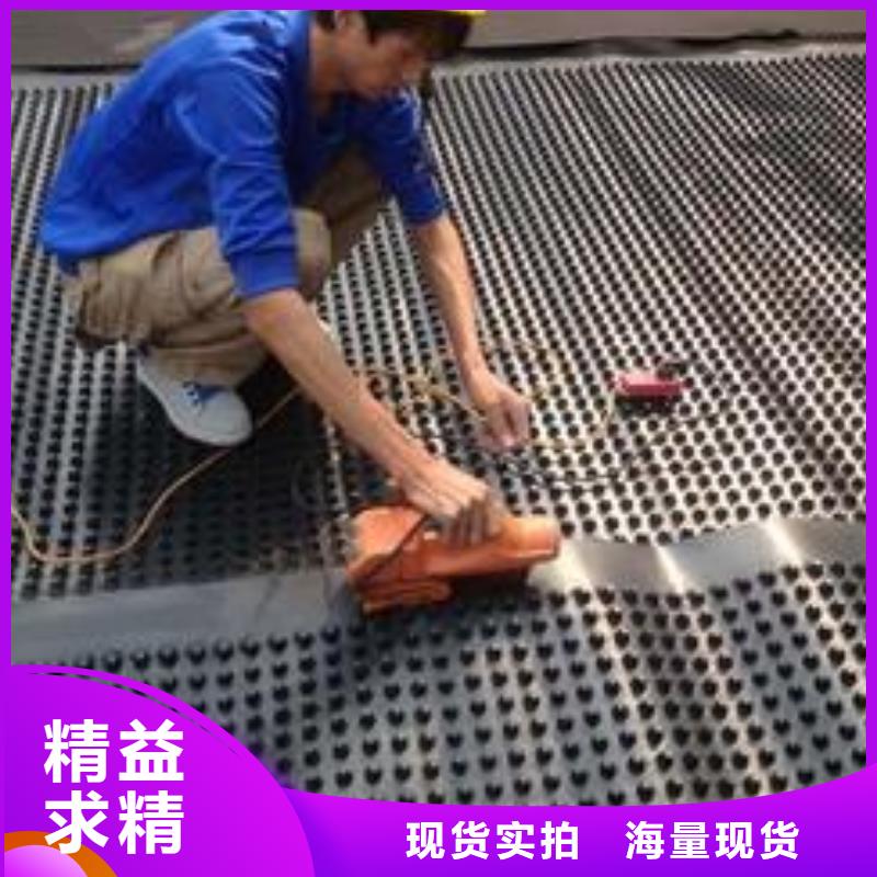 塑料排水板单向塑料土工格栅实体厂家支持定制