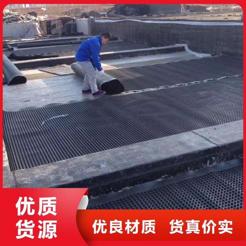 【塑料排水板多向塑料土工格栅产地工厂】