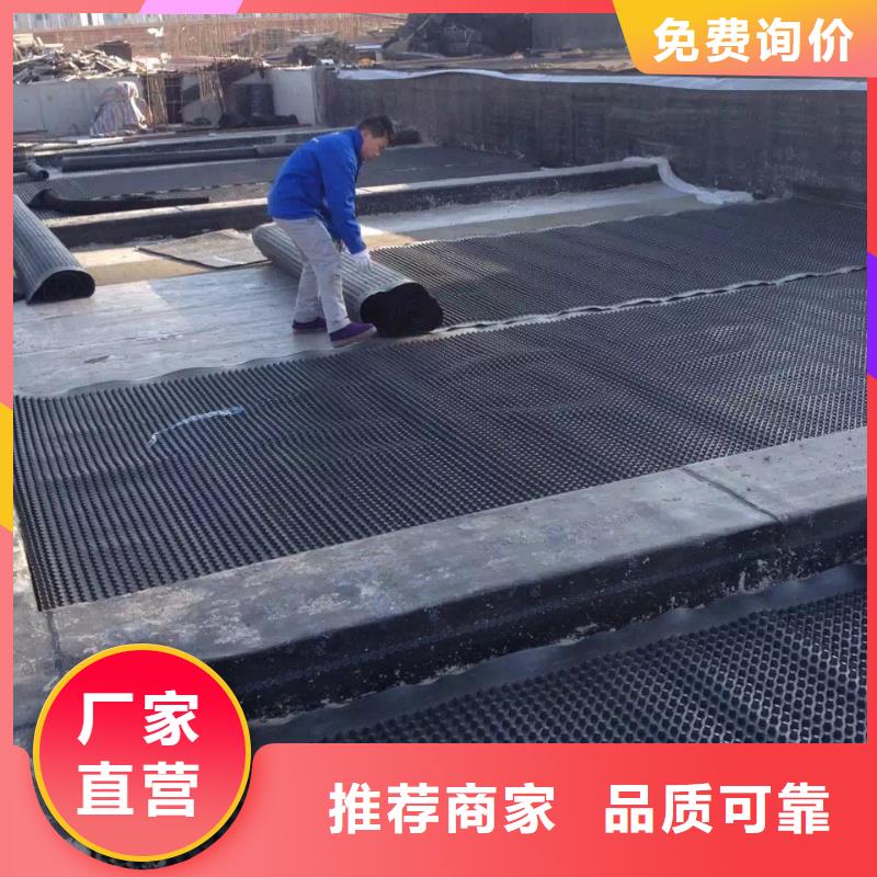 塑料排水板-三维土工网垫同行低价