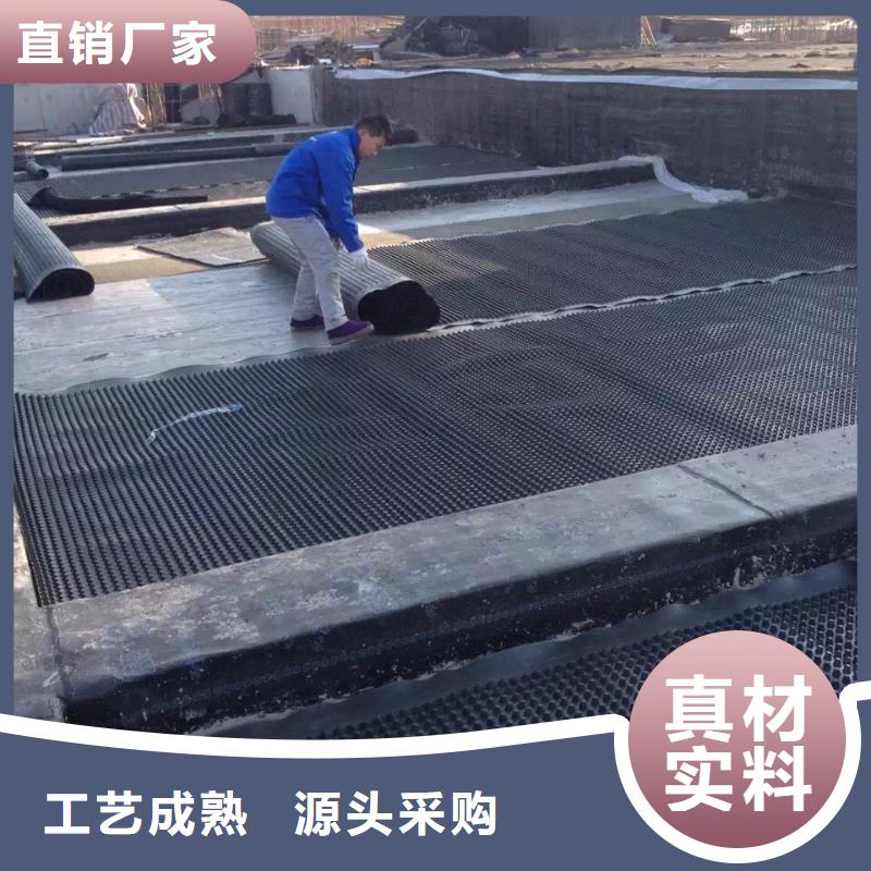 塑料排水板土工席垫拒绝伪劣产品