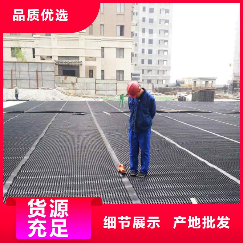 塑料排水板单向塑料土工格栅一站式服务
