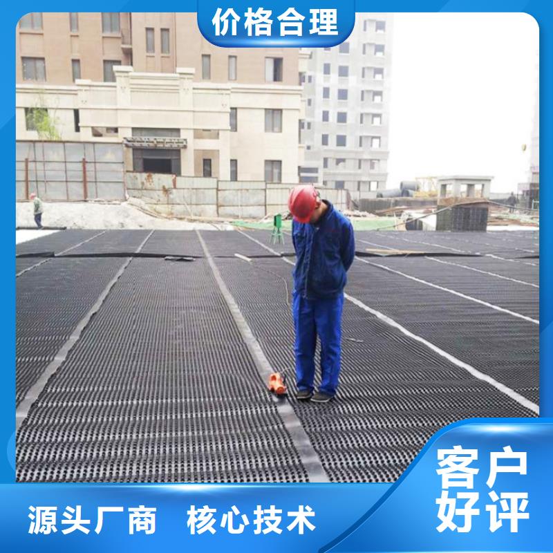 【塑料排水板性价比高】