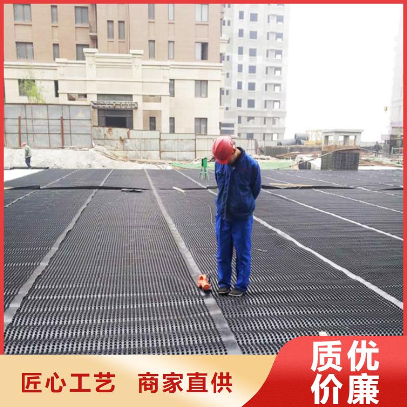 塑料排水板三维水土保护毯讲信誉保质量