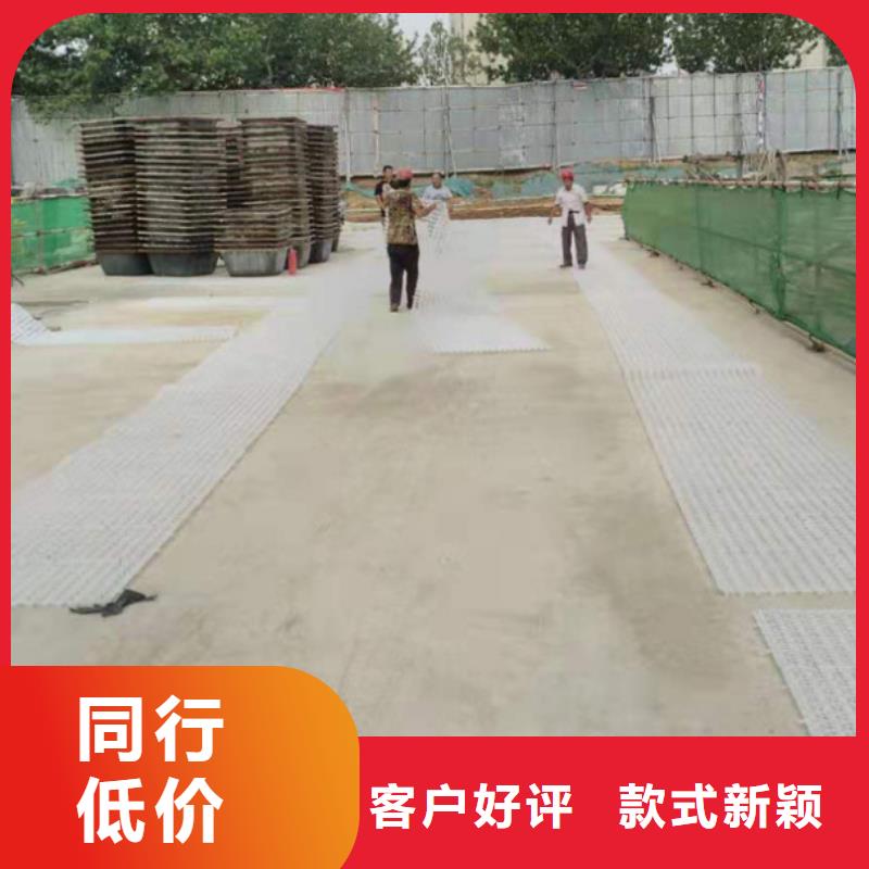 塑料排水板双向塑料土工格栅48小时发货