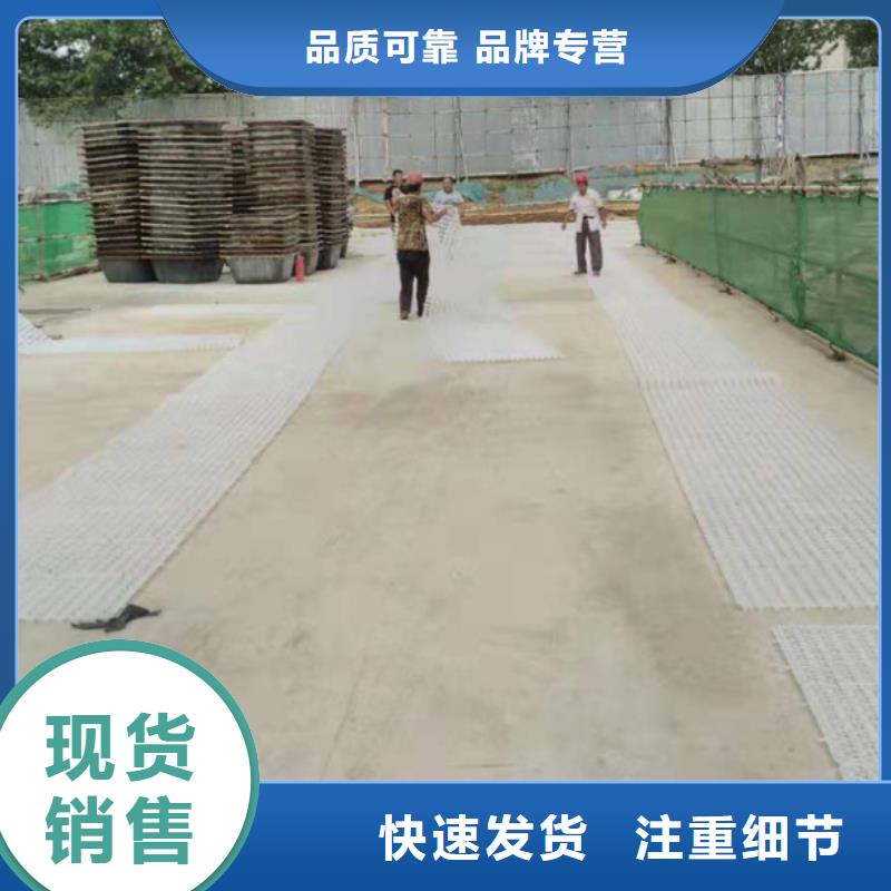 塑料排水板,双向塑料土工格栅品牌大厂家