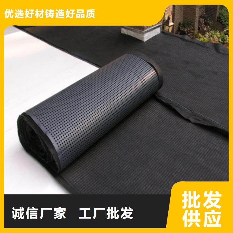 塑料排水板单向塑料土工格栅出货及时