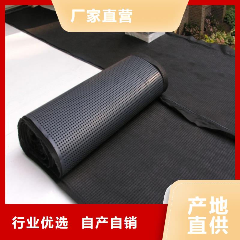 塑料排水板土工席垫拒绝伪劣产品