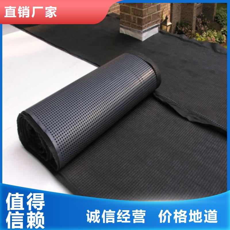 塑料排水板聚丙烯双拉土工格栅甄选好物