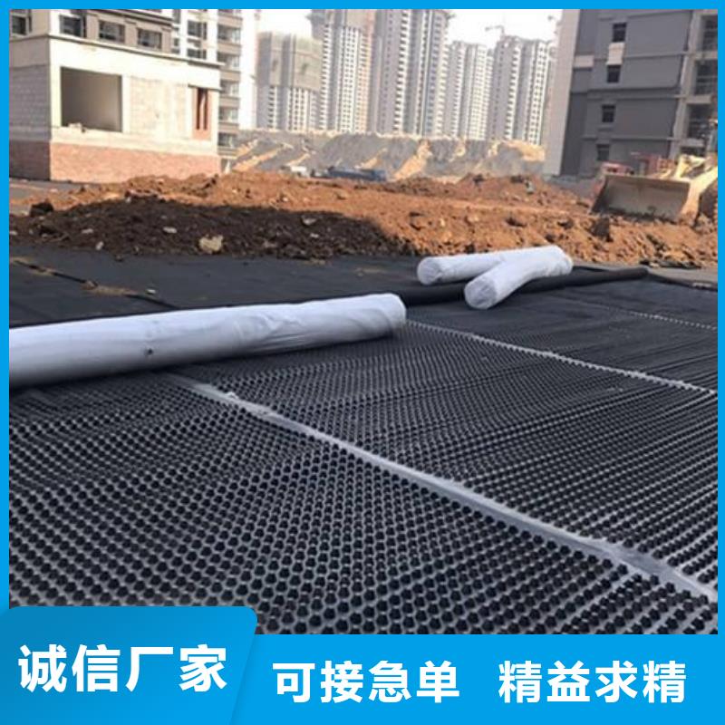 塑料排水板单向塑料土工格栅一站式服务