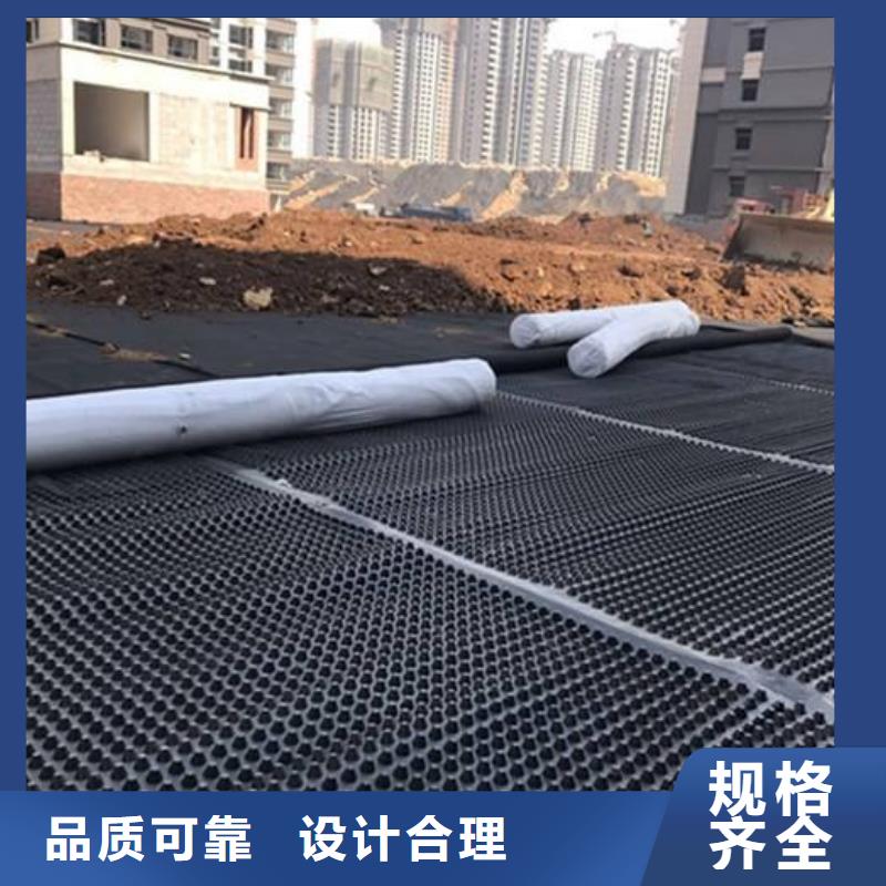 塑料排水板,三维土工网垫安心购