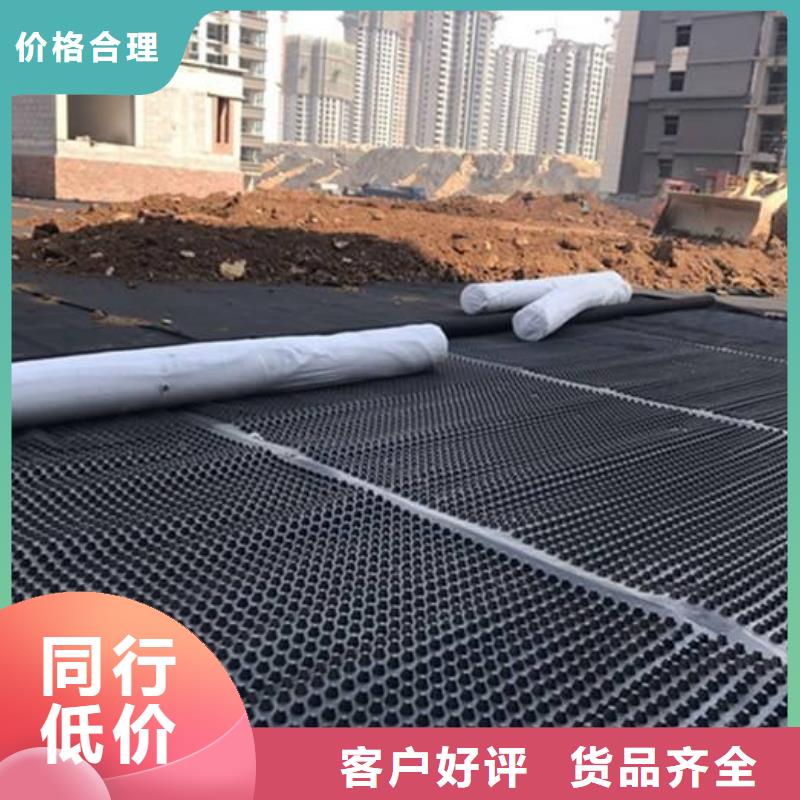 【塑料排水板土工膜一手价格】