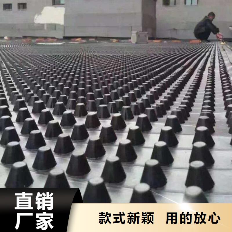 【塑料排水板三维植被网厂家专注生产N年】