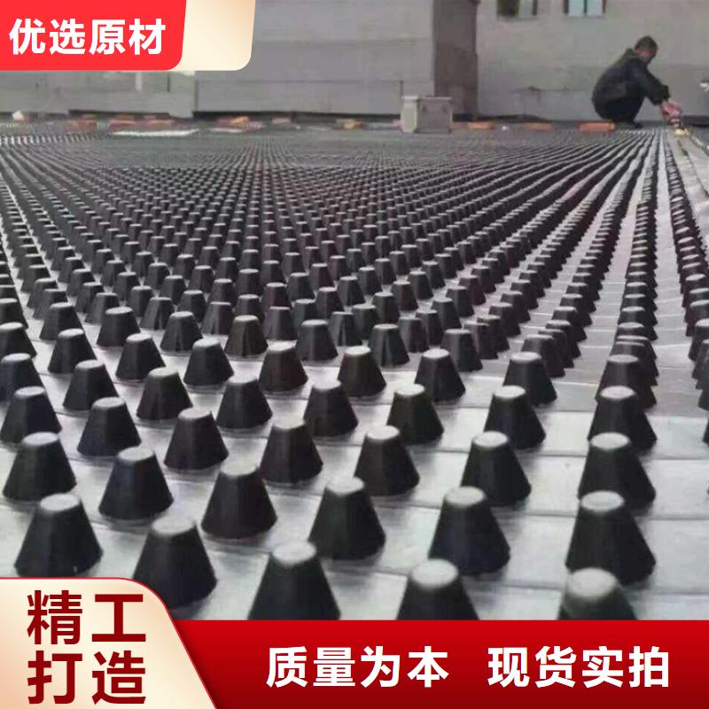 塑料排水板玻纤土工格栅高品质现货销售