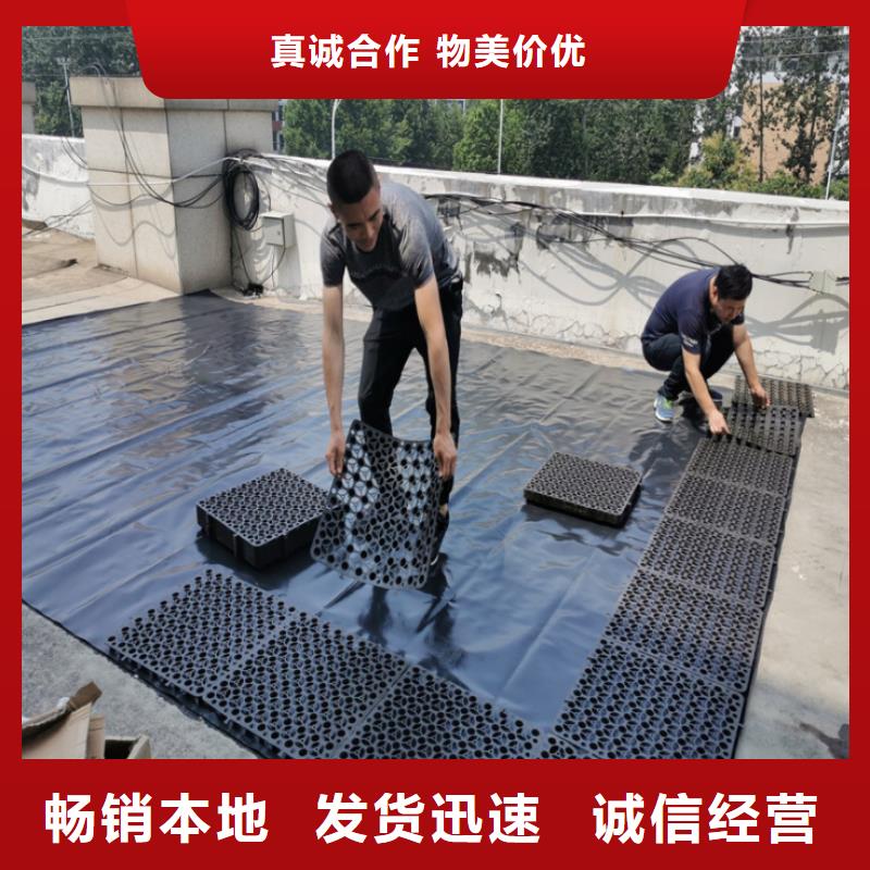 塑料排水板单向塑料土工格栅出货及时
