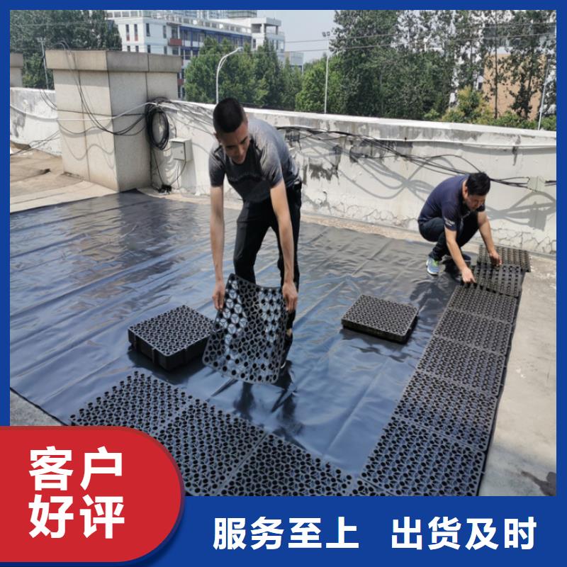 塑料排水板土工席垫拒绝伪劣产品