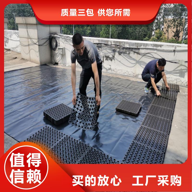 塑料排水板-膨润土防水毯常年供应